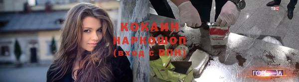 гашик Богородск