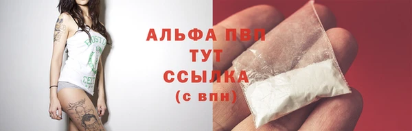 кокаин Богданович