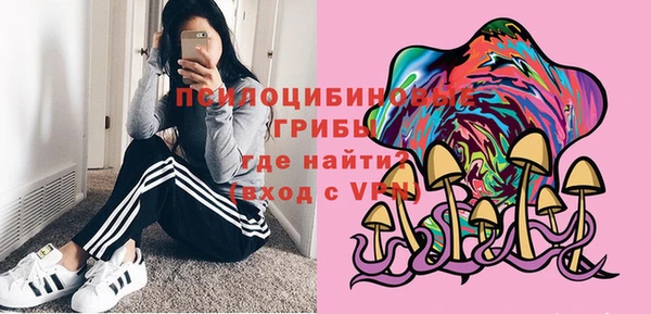 гашик Богородск