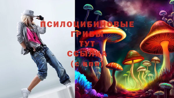 метадон Богородицк