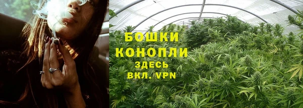 метадон Богородицк