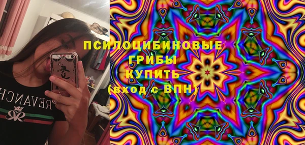метадон Богородицк